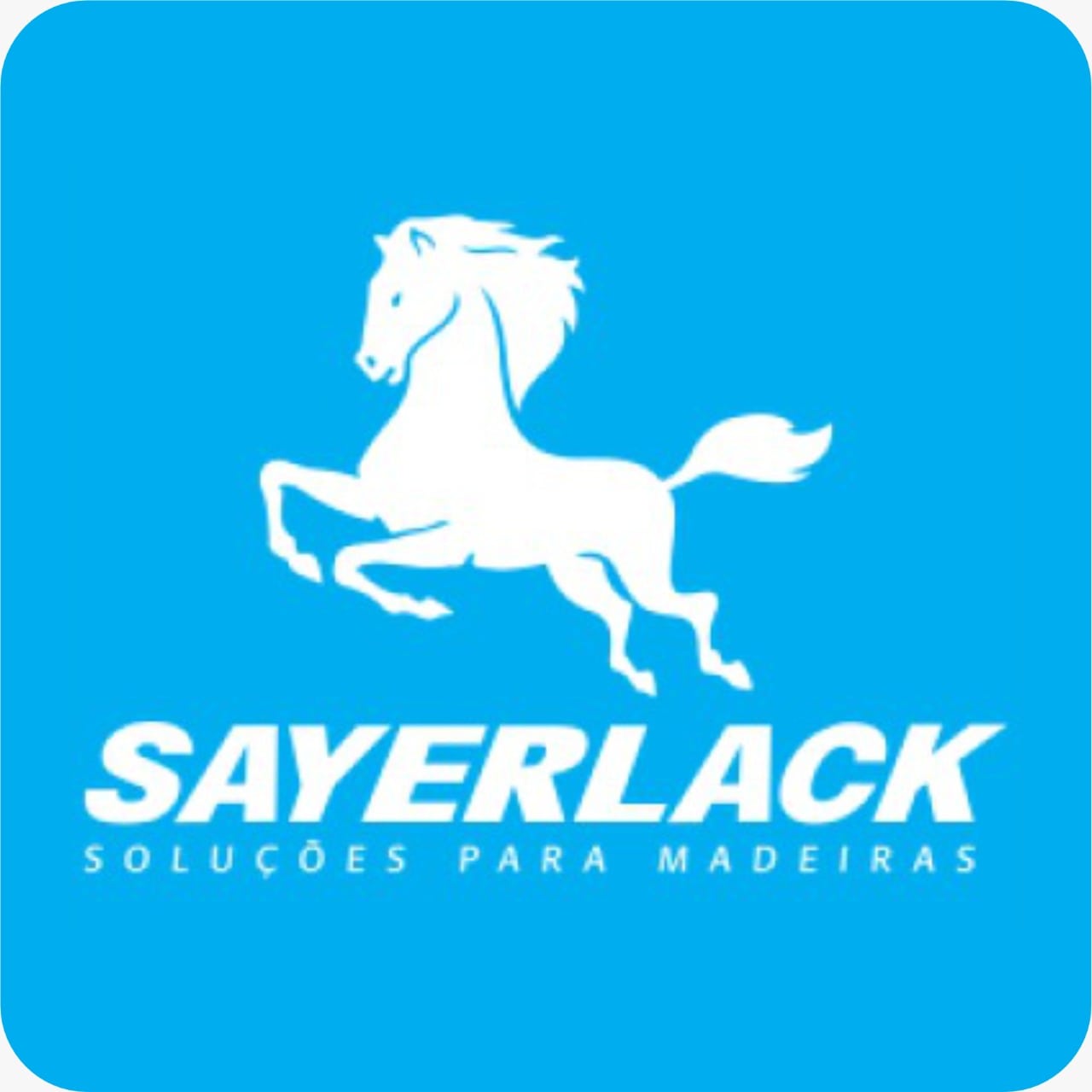 sayerlack